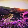 Robert Glowacky - @robertglowacky_1443 - TikTok