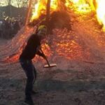 Rob Ert - @gohl_robert - Instagram