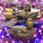 Robert Gohl - @robertjgohltrigger - Instagram
