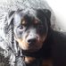 Robert Goldstraw - Facebook