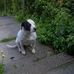 Robert Goldstraw - Facebook