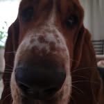 Robert Goleńczak - @robertgolenczak - Instagram