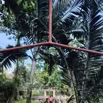 Robert Gomora - @gomora.robert - Instagram