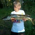 Robert Goodwin - @robert.goodwin.543 - Instagram