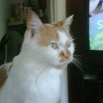 Robert Goodwin - @robert.goodwin.54772 - Instagram