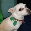 robertgoodwin855 - @robertgoodwin855 - TikTok
