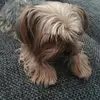 Robert Gora - @robert.gora7 - TikTok