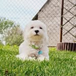 Robert Góralczyk - @robert_goralczyk - Instagram