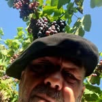 Robert Gorissen - @gorissenrobert - Instagram