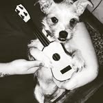 Cody Robert Gosnell - @gosnellcodyrobert - Instagram