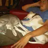 Robert Gott436 - @robertgott436 - TikTok
