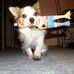 Robert Grabner - Facebook
