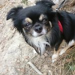 Robert Grabner - @grabnerrobert - Instagram