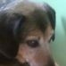 Robert Grabowski - Facebook