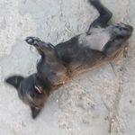 Robert Granados - @robert.granados.50 - Instagram