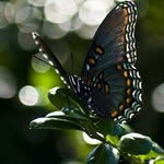 Robert Graves - @robertbgraves - Instagram