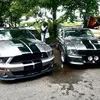 robertgreeff406 - @mrgdoos406 - TikTok