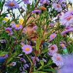 Robert Green & Evergreen Recordings - @robertgreen.official - Instagram