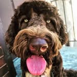 Robert Greenleaf - @robbgreen1 - Instagram