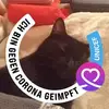 Robert Greve - @robert.greve0 - TikTok