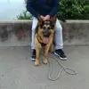 Robert Grevellec - @robertgrevellec - TikTok