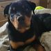 Robert Gribben - Facebook