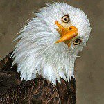 Robert griffith - @robert.griffith - Instagram