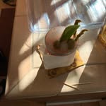 Robert Griffith - @robertgriffith99 - Instagram