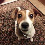 Robert Griffiths - @robert.griffiths.5264 - Instagram