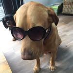 Robert Griffiths - @robert.griffiths.319247 - Instagram