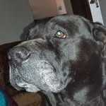 Robert Griffiths - @robert.griffiths.7549 - Instagram
