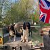 Robert Griffiths - Facebook