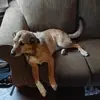 Robert_Grimm76 - @bacon_eatme0 - TikTok