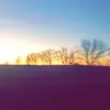 Robert Grindle - @robertcolletti - TikTok