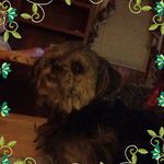 Robert Grindle - @robert.grindle.3954 - Instagram