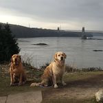 Robert Grist - @barneyandmollysdad - Instagram