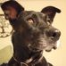 Bob Grona - Facebook