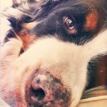 Robert Guay - @robertguay - Instagram