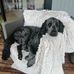Robert Gudgeon - Facebook