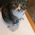 Robert Gudgeon - Facebook