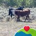 Robert Gullickson - Facebook