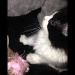 Robert Guthrie - @robert.guthrie.3114935 - Instagram