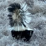 Robert Hagberg - @rhagberg007 - Instagram
