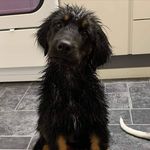 Robert Hager - @robert95a - Instagram