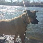 Robert Hager - @roberthager6 - Instagram