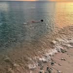 Robert Haggit - @robert__haggit99 - Instagram