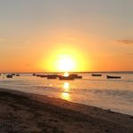 Robert Hagger - @roberthagger - Instagram