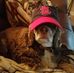 Bob Halberg - Facebook