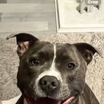 Robert Halfpenny  - Facebook