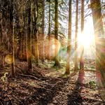 Robert Hall - @robert_hall_photography - Instagram